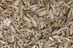 biomass boilers Chatcull